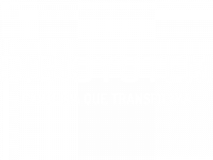 Logo Digisystem White Full